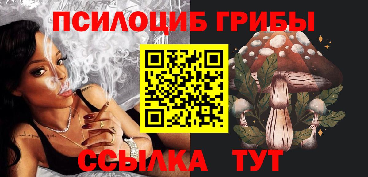Псилоцибиновые грибы прущие грибы  Вход с VPN  Елец 