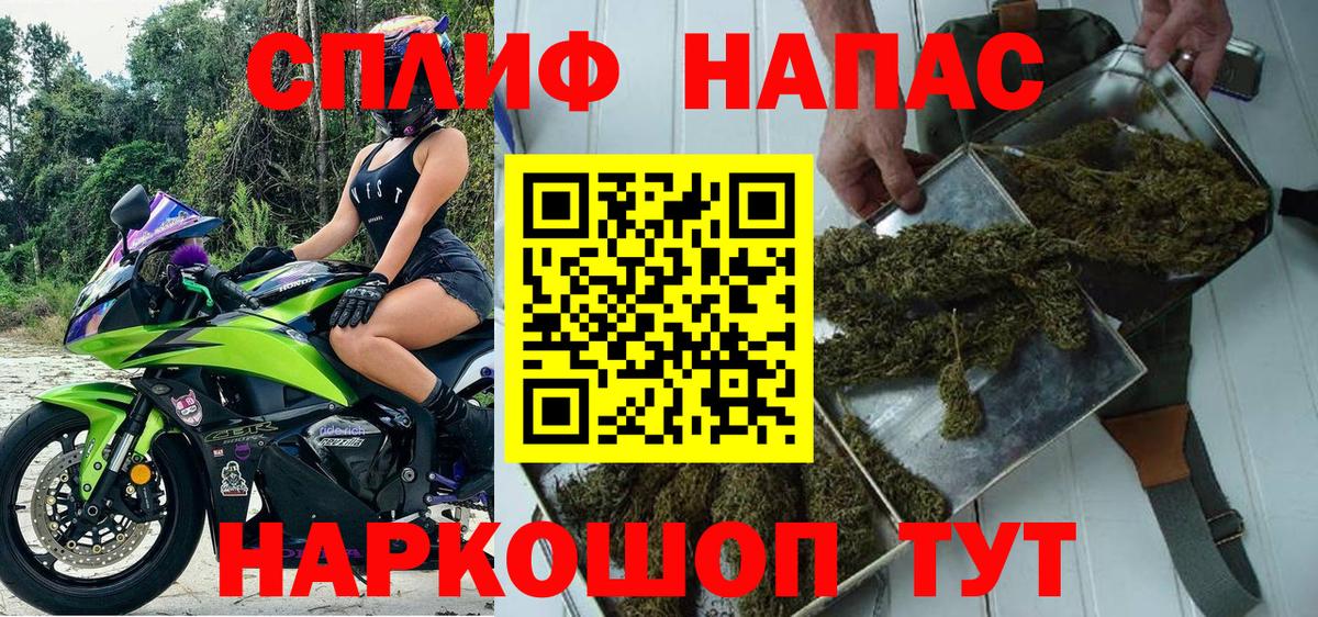 Бошки марихуана сатива Елец